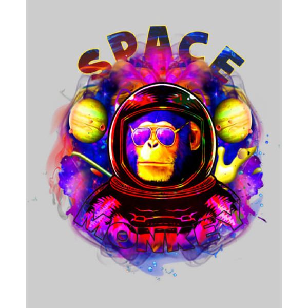 ΣΧΕΔΙΟ SPACE MONKEY