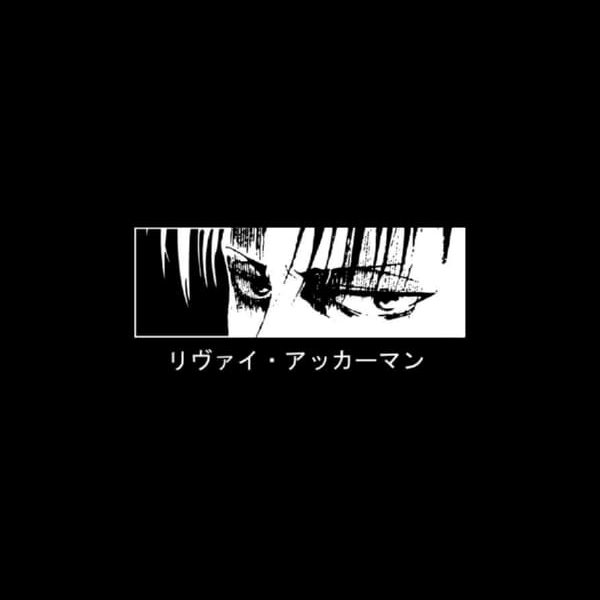 ATTACK ON TITAN | LEVI ACKERMAN EYES CUBE